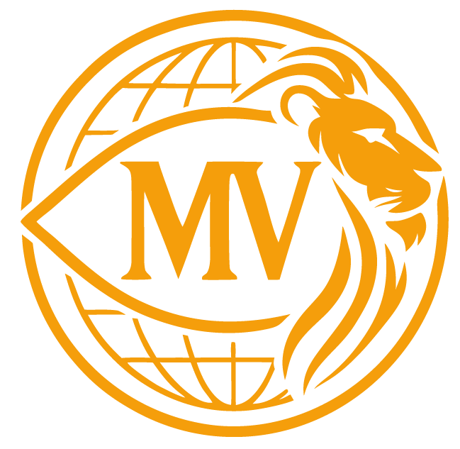 MAISTER VISION
